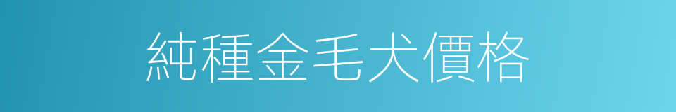 純種金毛犬價格的同義詞