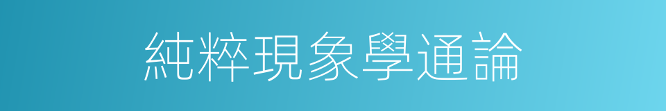 純粹現象學通論的同義詞