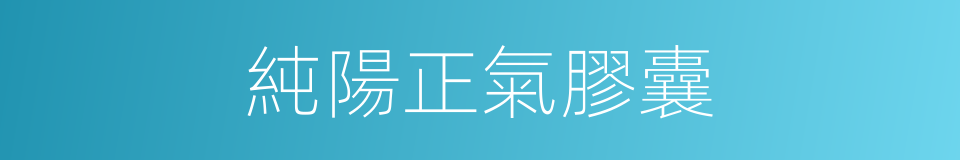 純陽正氣膠囊的同義詞