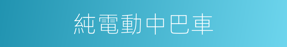 純電動中巴車的同義詞