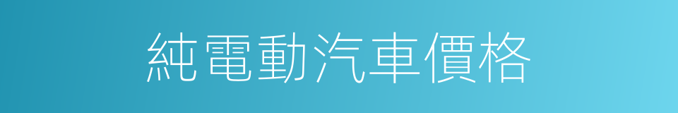 純電動汽車價格的同義詞