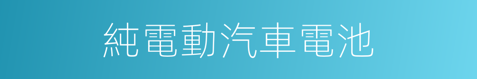 純電動汽車電池的同義詞