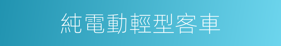 純電動輕型客車的同義詞