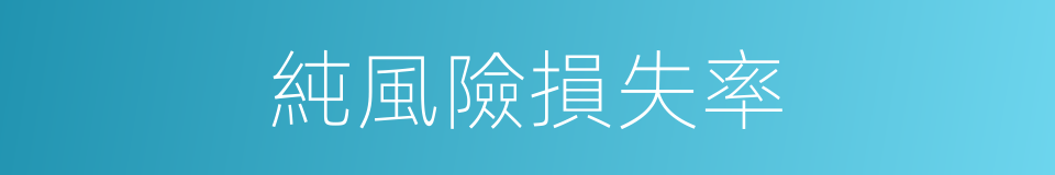 純風險損失率的同義詞