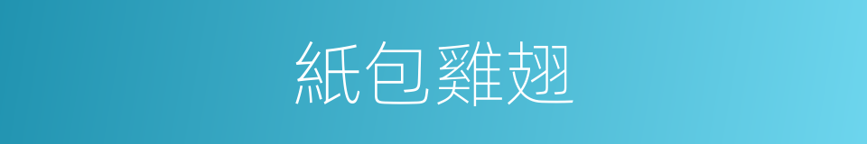 紙包雞翅的同義詞