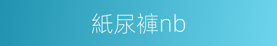紙尿褲nb的同義詞