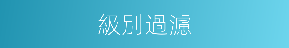 級別過濾的同義詞