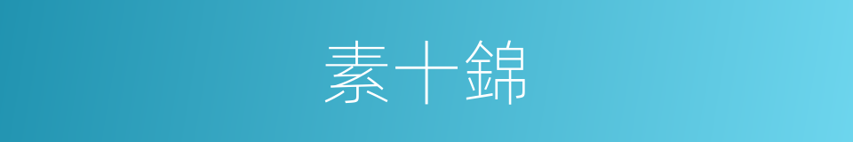 素十錦的意思