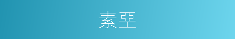 素堊的意思