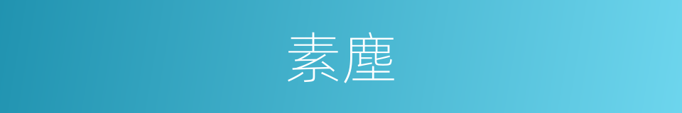 素塵的意思