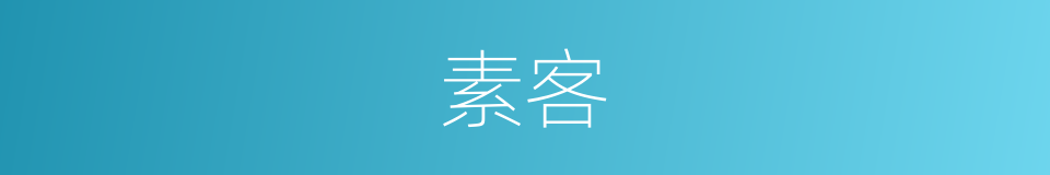 素客的意思