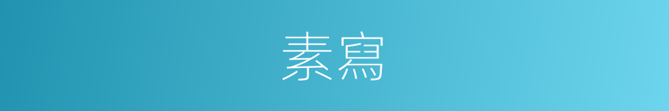 素寫的意思