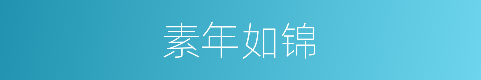 素年如锦的同义词