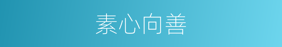 素心向善的同义词