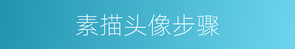 素描头像步骤的同义词