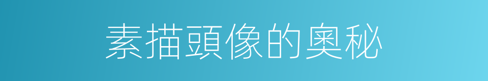 素描頭像的奧秘的同義詞
