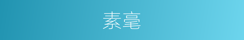 素毫的意思
