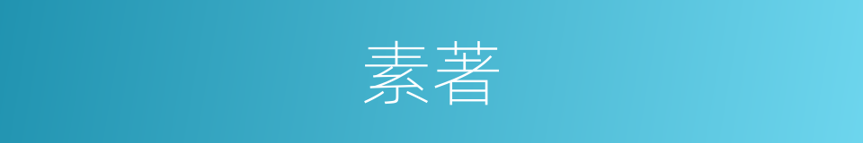 素著的意思