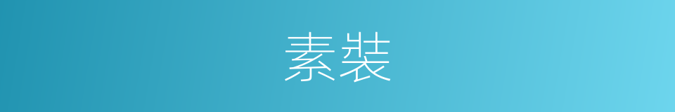 素裝的意思