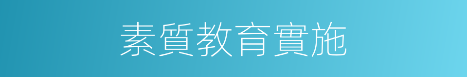 素質教育實施的同義詞