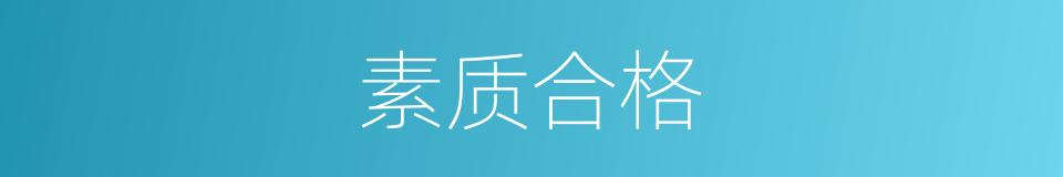 素质合格的同义词