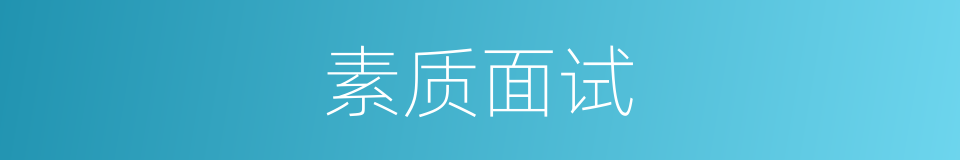 素质面试的同义词