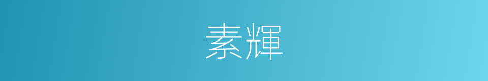 素輝的意思