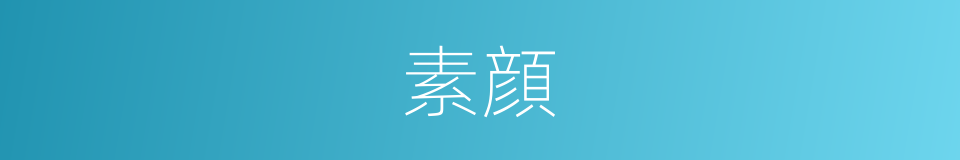 素顔的同义词