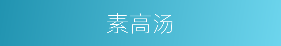素高汤的同义词
