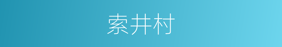 索井村的同义词