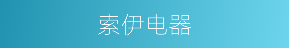 索伊电器的同义词