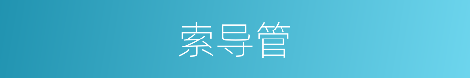 索导管的同义词