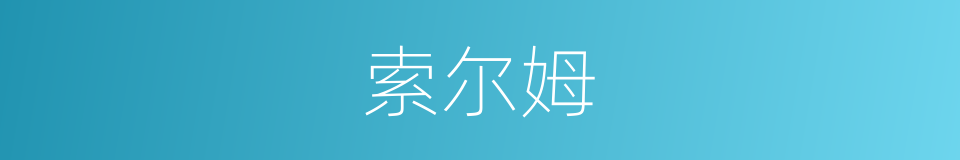 索尔姆的同义词