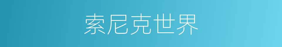 索尼克世界的同义词