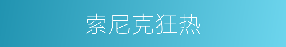 索尼克狂热的同义词