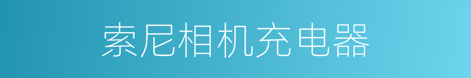 索尼相机充电器的同义词