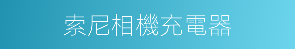 索尼相機充電器的同義詞