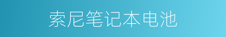 索尼笔记本电池的同义词