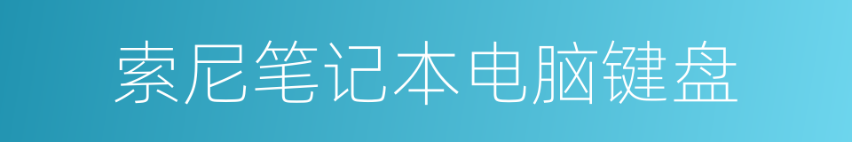 索尼笔记本电脑键盘的同义词