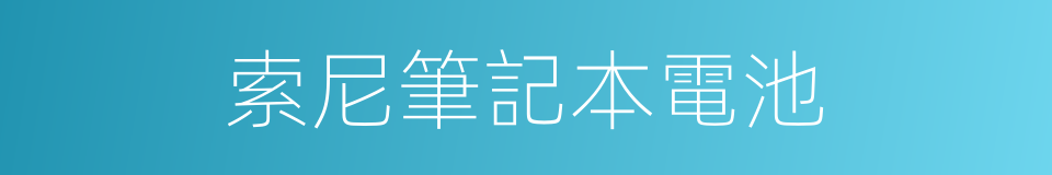 索尼筆記本電池的同義詞