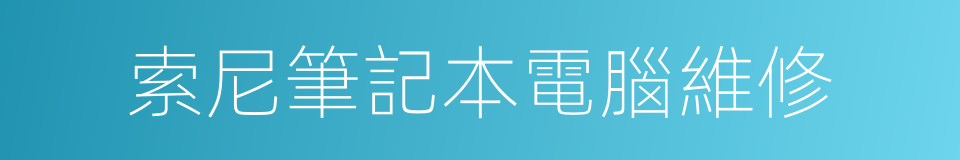 索尼筆記本電腦維修的同義詞