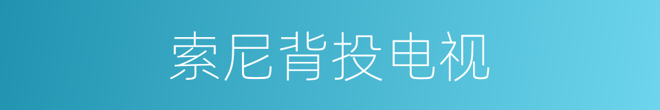 索尼背投电视的同义词