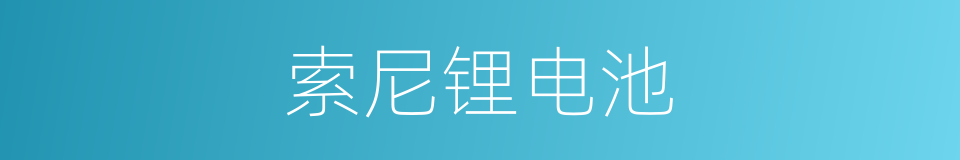 索尼锂电池的同义词