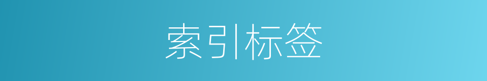 索引标签的同义词