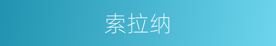 索拉纳的同义词
