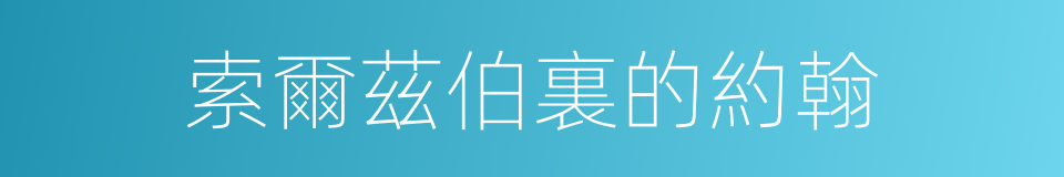 索爾茲伯裏的約翰的同義詞