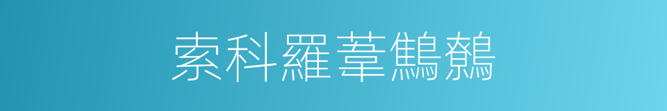 索科羅葦鷦鷯的同義詞