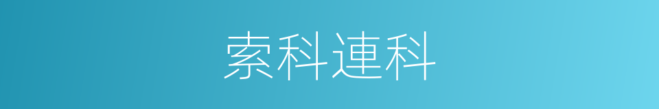 索科連科的同義詞