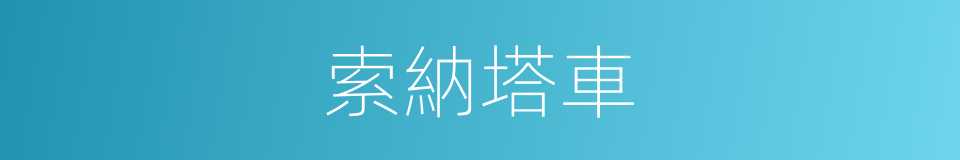 索納塔車的同義詞