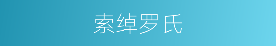 索绰罗氏的同义词